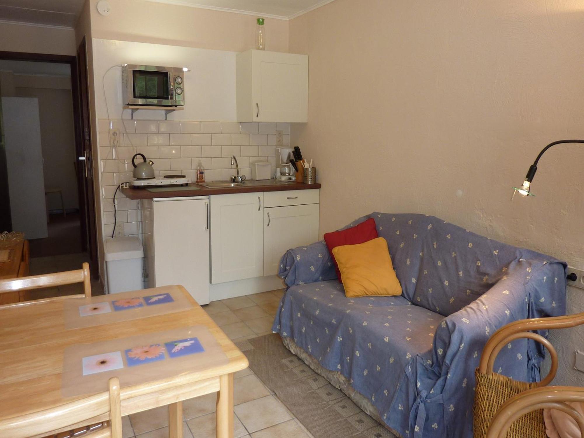 Gorgeous Apartment In Bohon With Garden Furniture And Bbq Barvaux-sur-Ourthe Zewnętrze zdjęcie