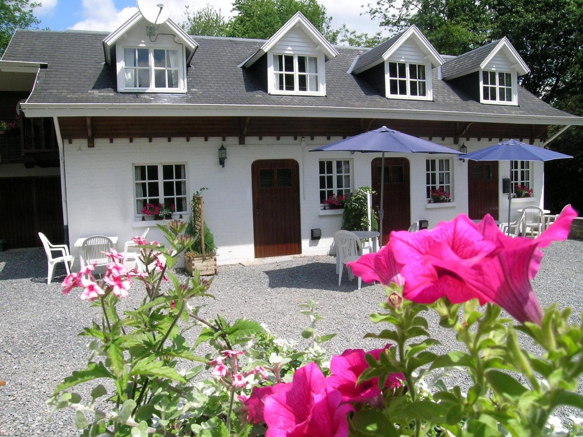 Gorgeous Apartment In Bohon With Garden Furniture And Bbq Barvaux-sur-Ourthe Zewnętrze zdjęcie